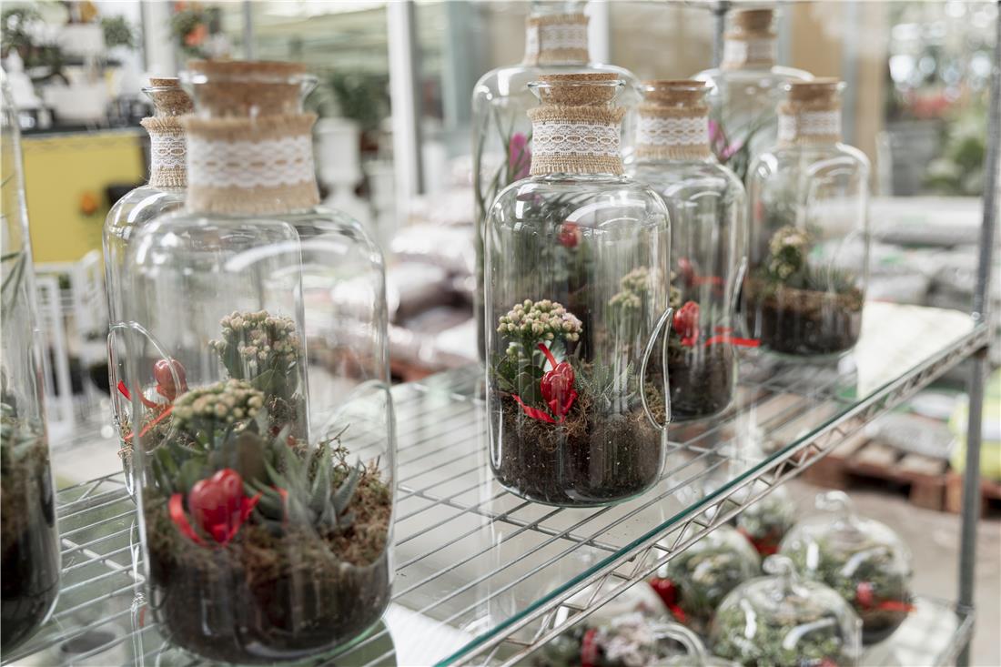 จัดสวน Terrarium
