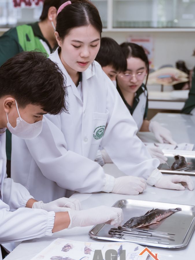 ภาพเสริมกิจกรรมงานเกษตรนเรศวร — แก้ src เป็นรูปของคุณได้